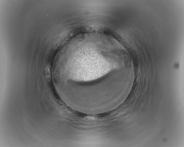 X0000090490699200707272340