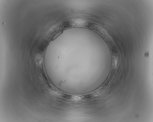 X0000090490701200707272340
