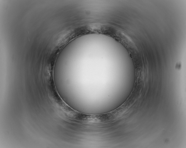 X0000090490702200707272340
