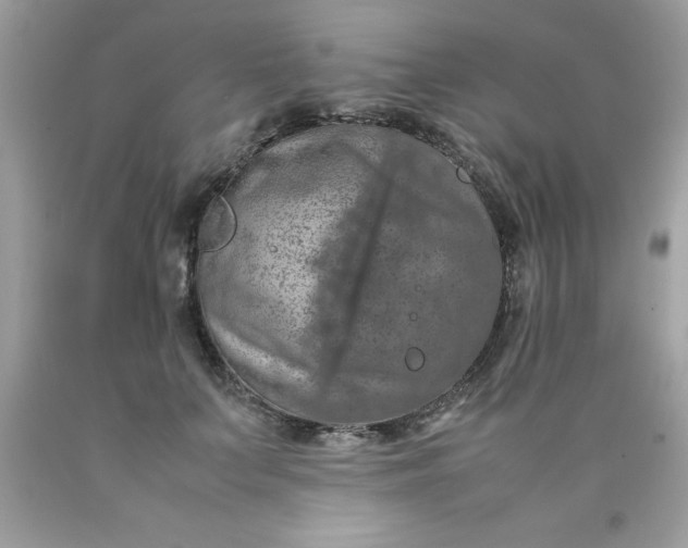 X0000090490703200707272340
