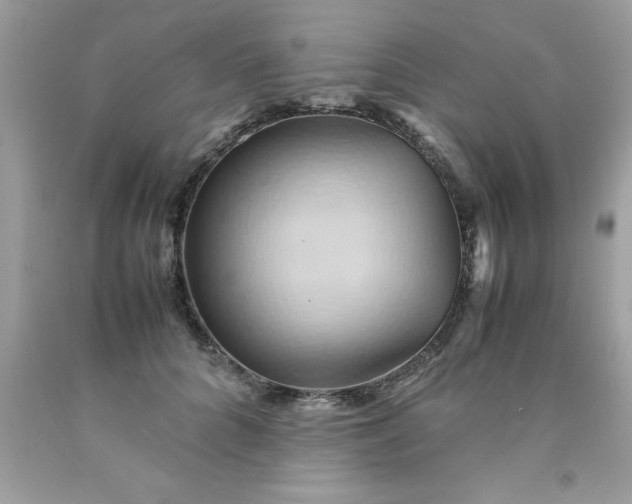 X0000090490704200707272340