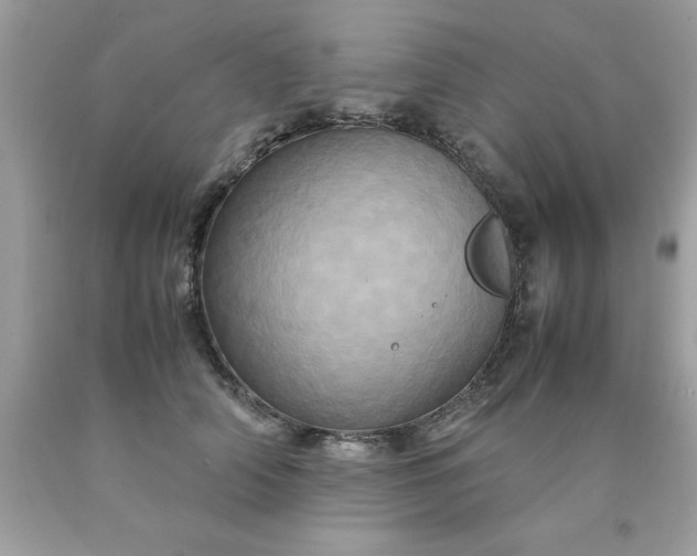 X0000090490706200707272340