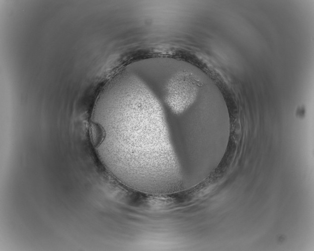 X0000090490707200707272340