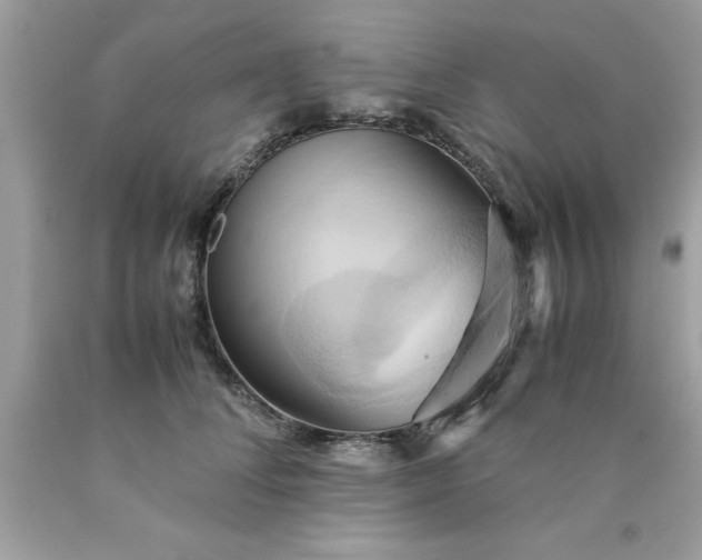 X0000090490708200707272340