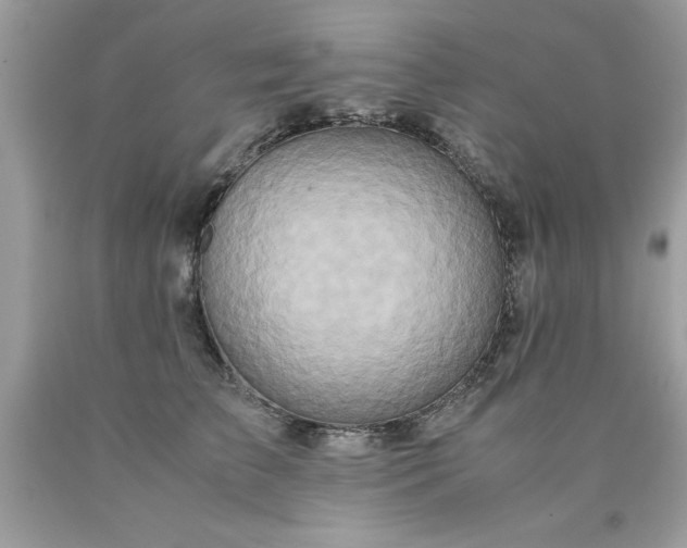 X0000090490709200707272340