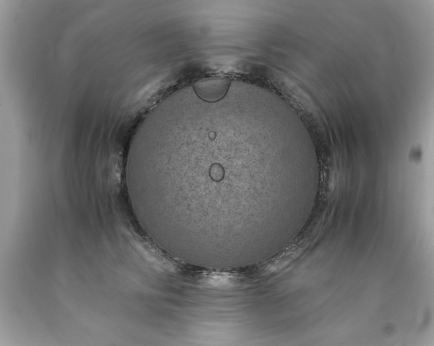 X0000090490710200707272340