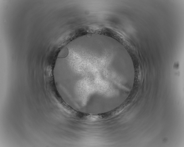 X0000090490711200707272340