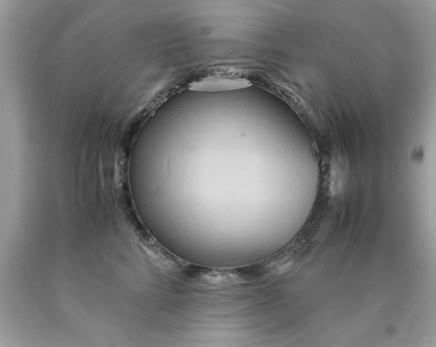 X0000090490712200707272340