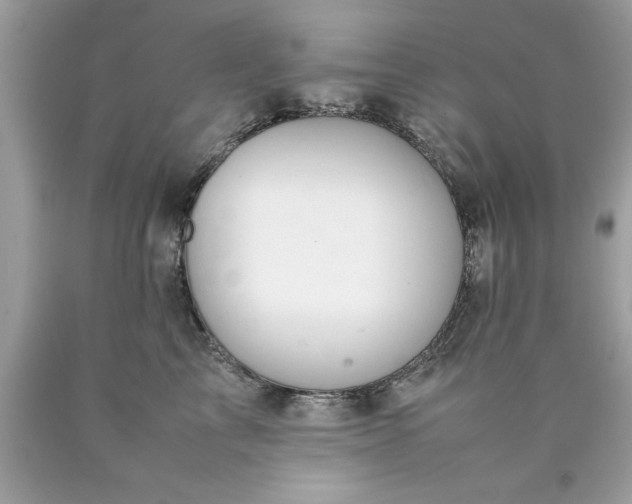 X0000090490713200707272340