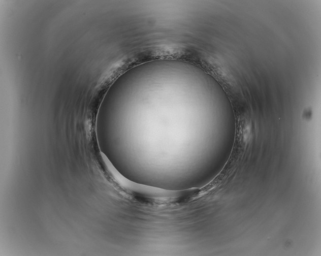 X0000090490716200707272340