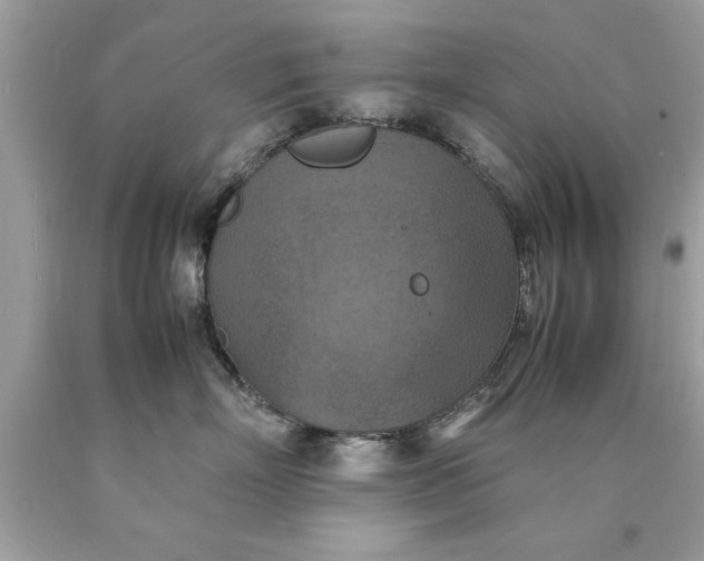 X0000090490718200707272340