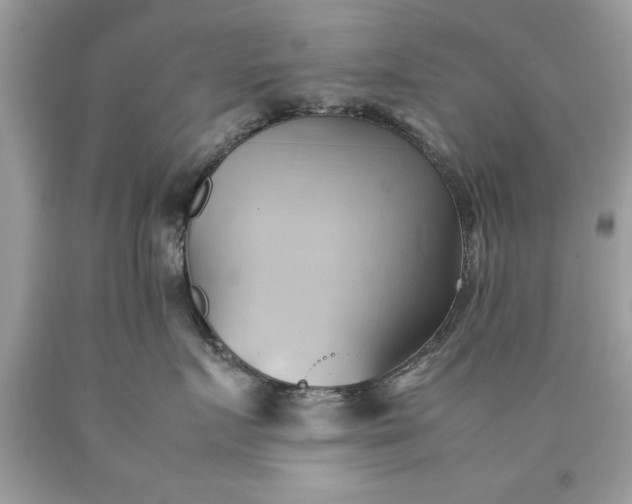 X0000090490719200707272340
