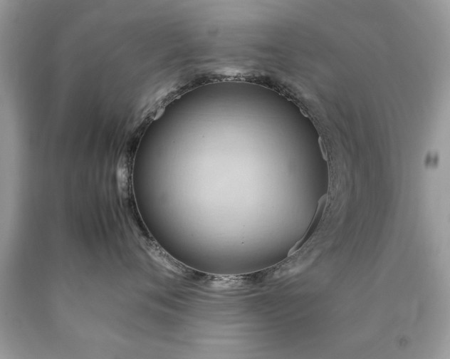 X0000090490720200707272340