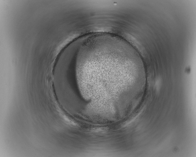 X0000090490721200707272339