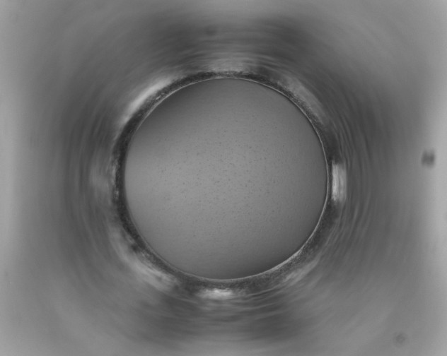 X0000090490723200707272339
