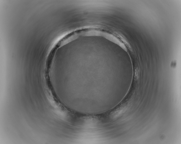 X0000090490724200707272339