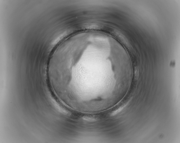 X0000090490725200707272339