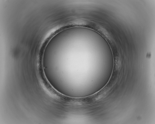 X0000090490726200707272339