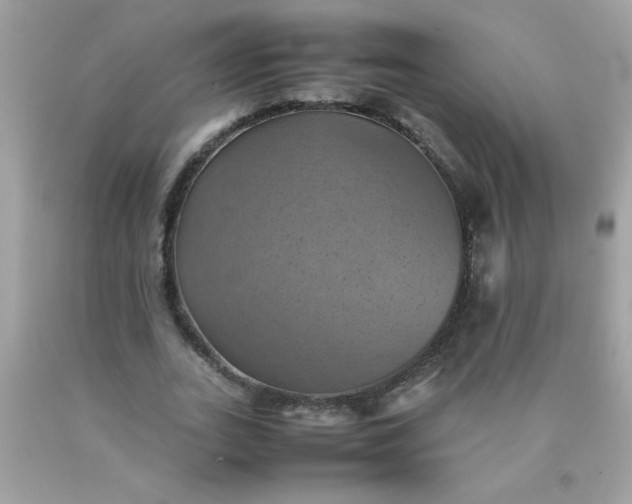 X0000090490727200707272339