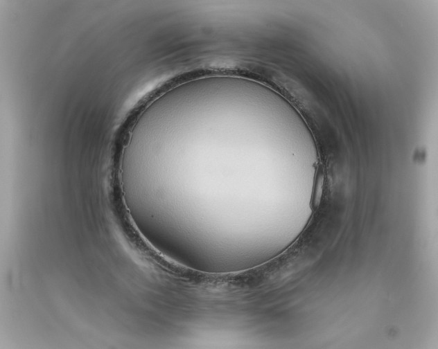 X0000090490728200707272339
