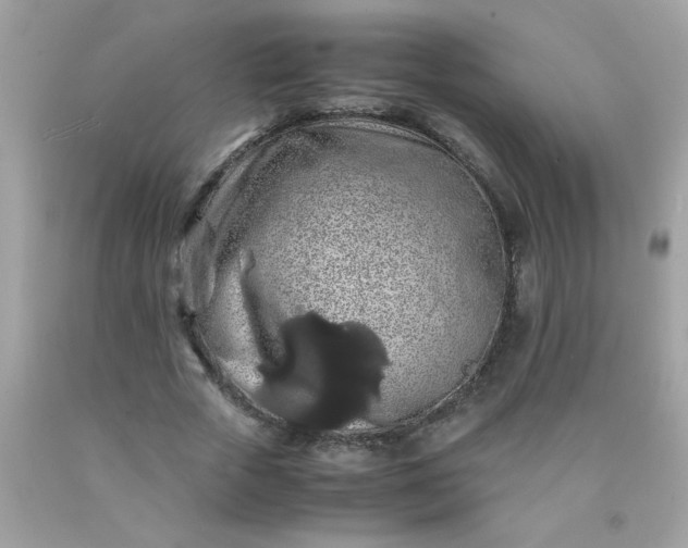 X0000090490729200707272339