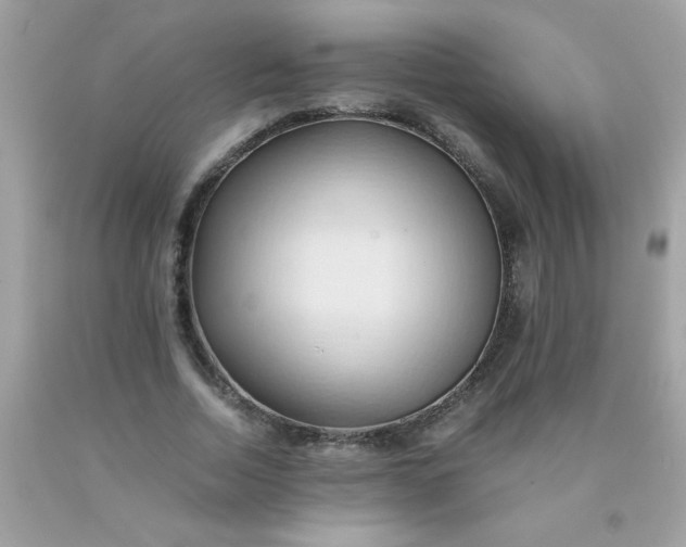 X0000090490730200707272339