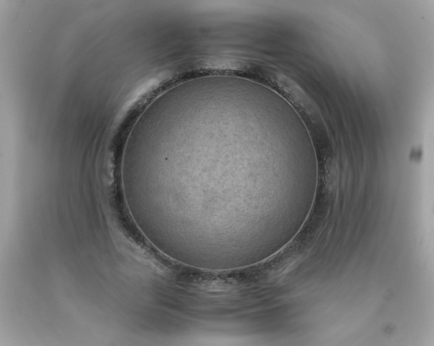 X0000090490731200707272339