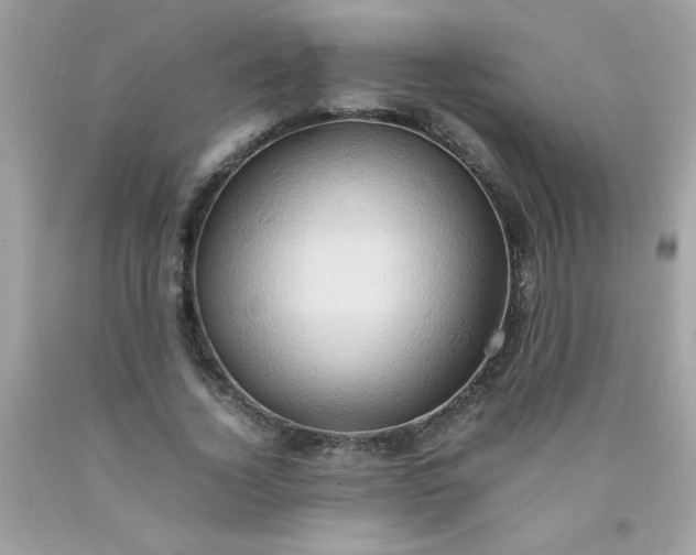 X0000090490732200707272339