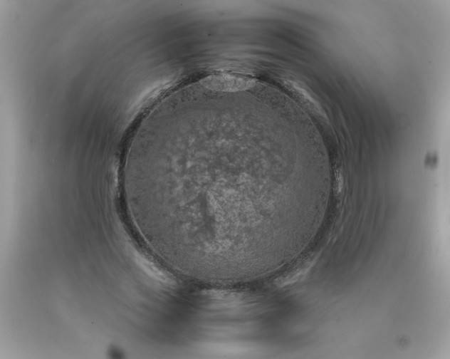 X0000090490733200707272339