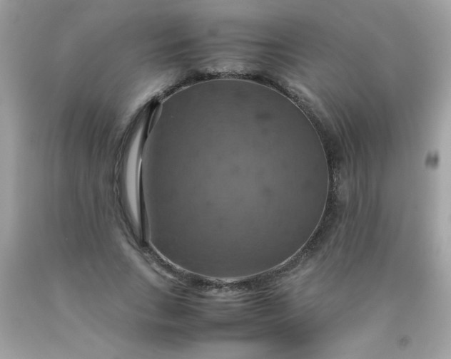 X0000090490735200707272339