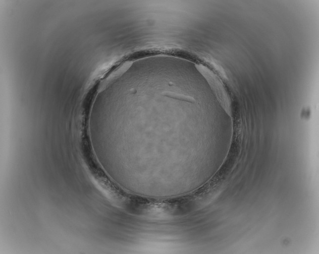 X0000090490736200707272339