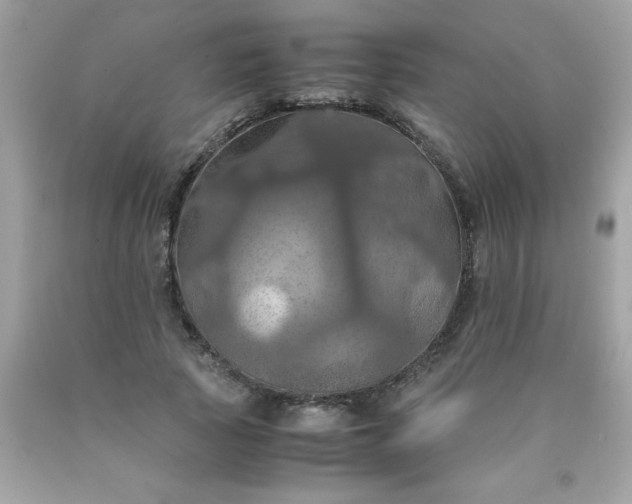 X0000090490737200707272339