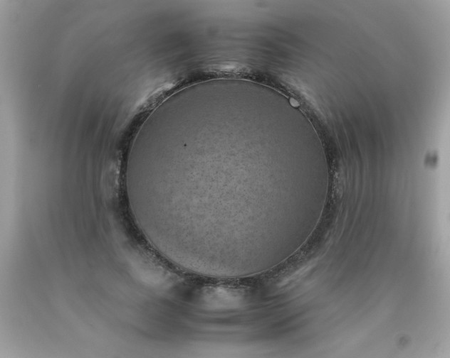 X0000090490739200707272339