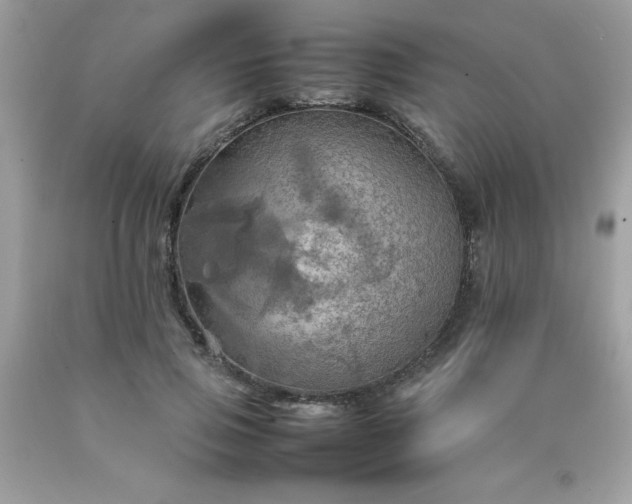 X0000090490741200707272339