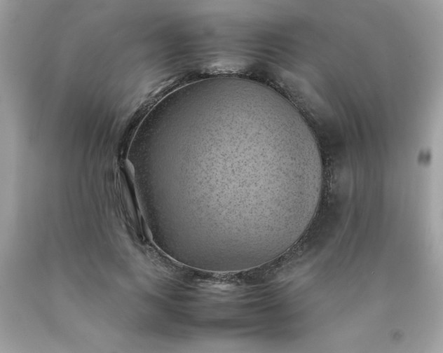X0000090490743200707272340
