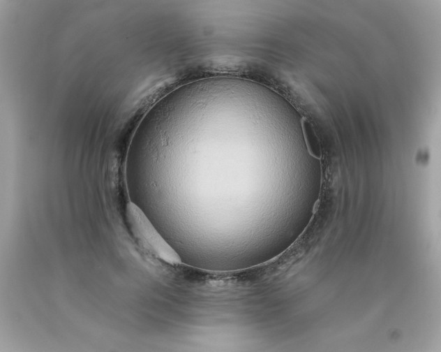 X0000090490744200707272340
