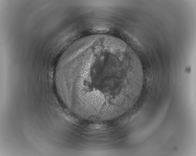 X0000090490745200707272340