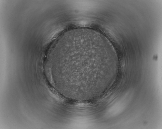 X0000090490746200707272340