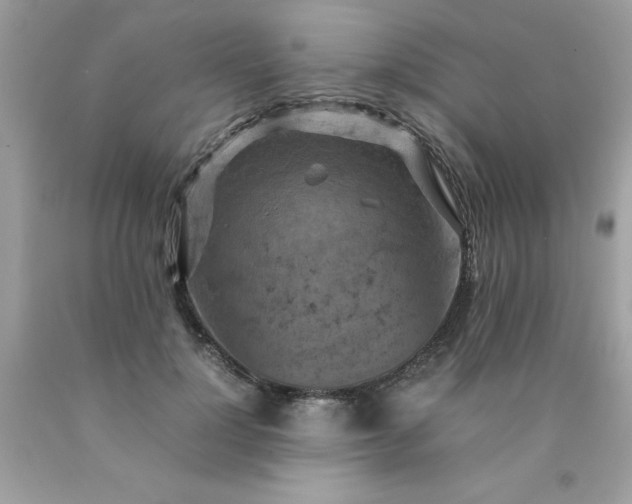 X0000090490748200707272340