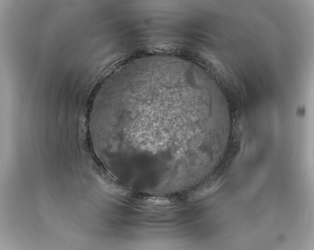 X0000090490749200707272340