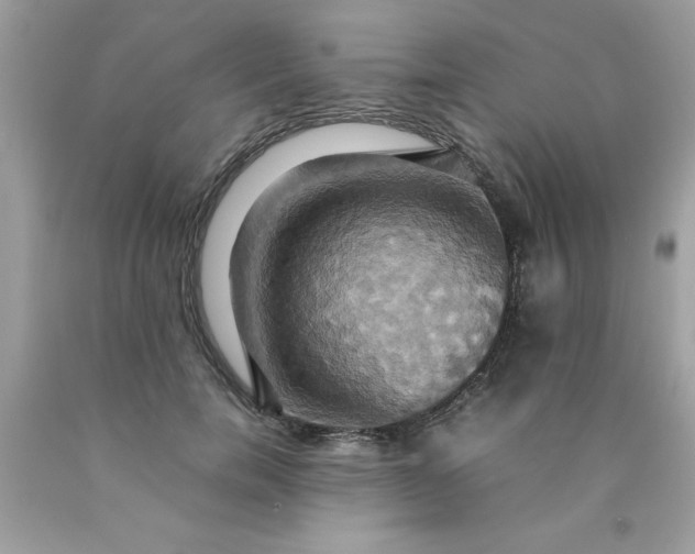 X0000090490750200707272340