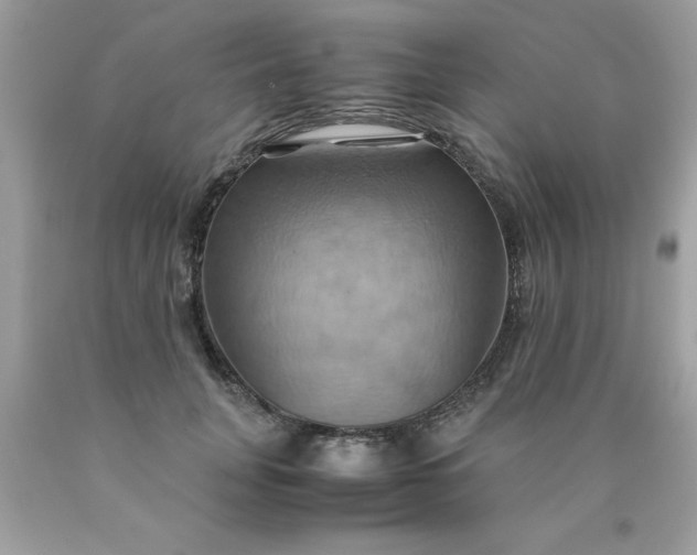 X0000090490751200707272340