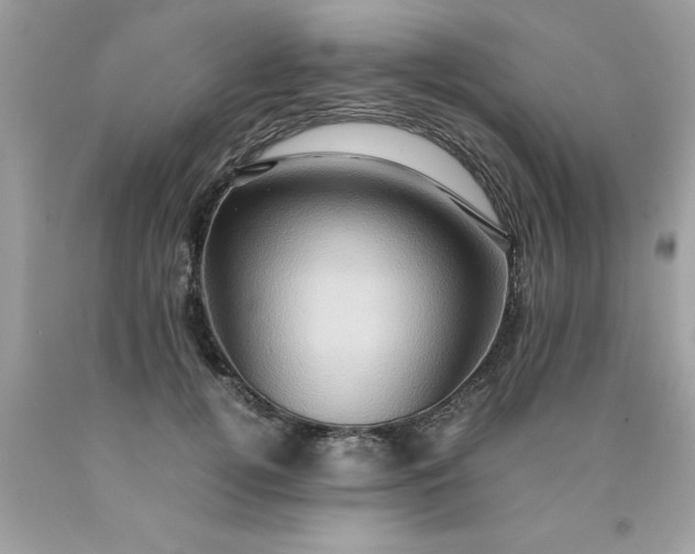 X0000090490752200707272340