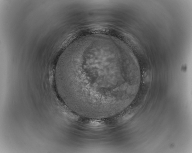 X0000090490753200707272340