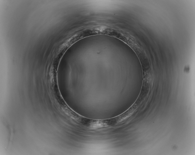 X0000090490754200707272340
