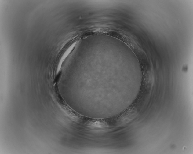 X0000090490755200707272340