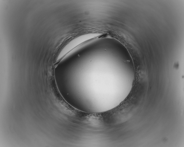 X0000090490756200707272340