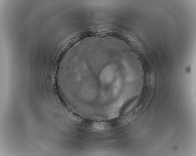 X0000090490757200707272340