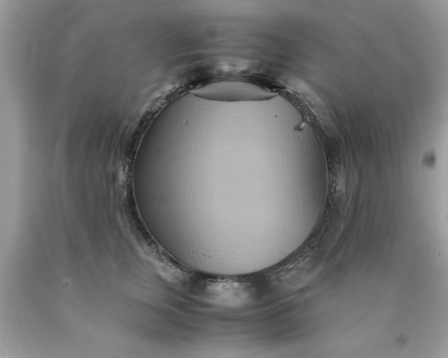 X0000090490759200707272340
