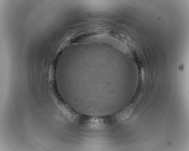 X0000090490760200707272340